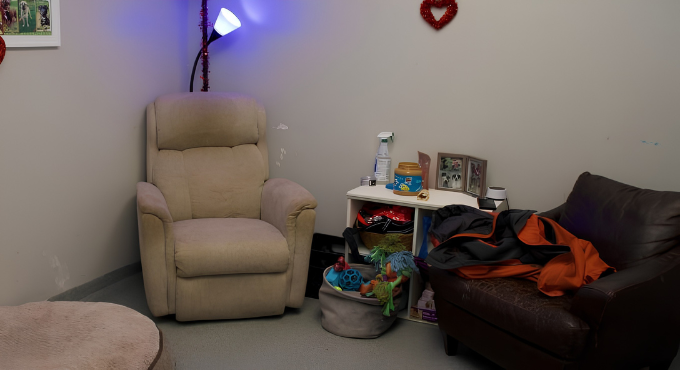 Quiet room for the dogs to relax
