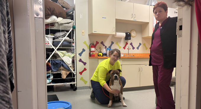 Exam room for the dogs