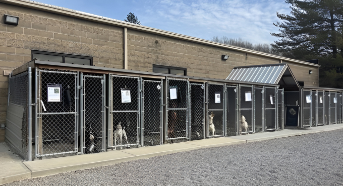 Exterior kennels at the Animal Shelter
