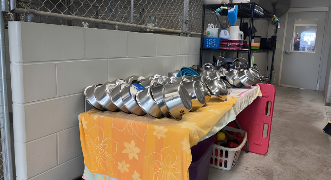Water bowls for the dogs
