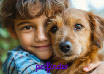 Petfinder: Boy and his puppy