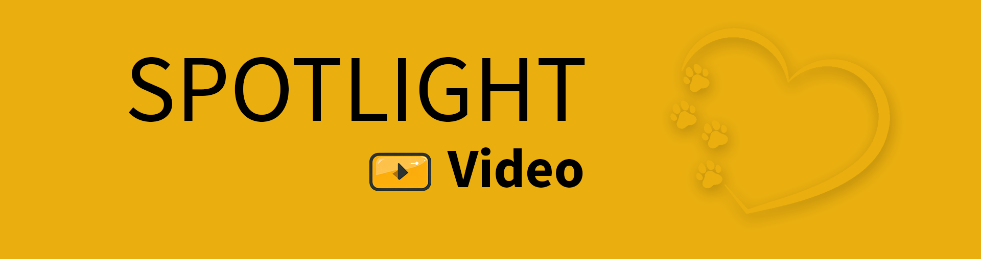 Spotlight video banner