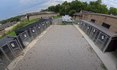 Outdoor Kennel Area Before Expansion