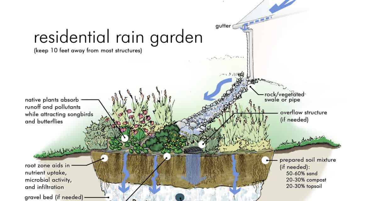 Rain Gardens - WARREN CO SWCD